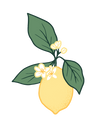 Limonata